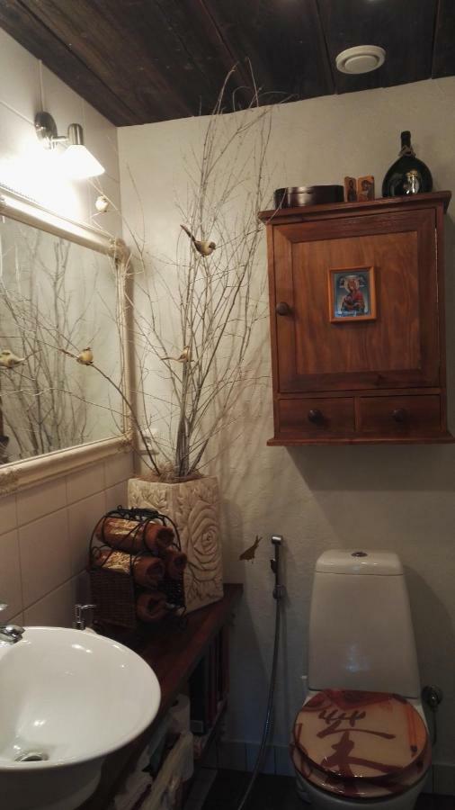 B&B Elaemys Aemmi Sauvo Kültér fotó